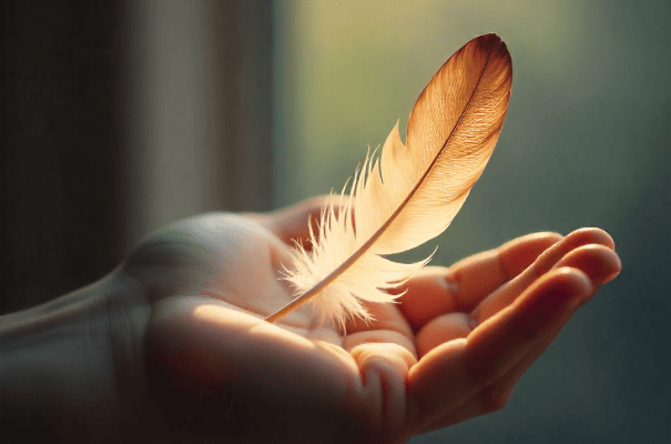 Signs and messages angels use Feather on palm