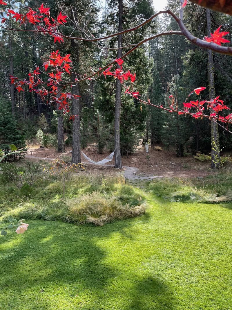 hammock property gounds beds inside the indoor stay in