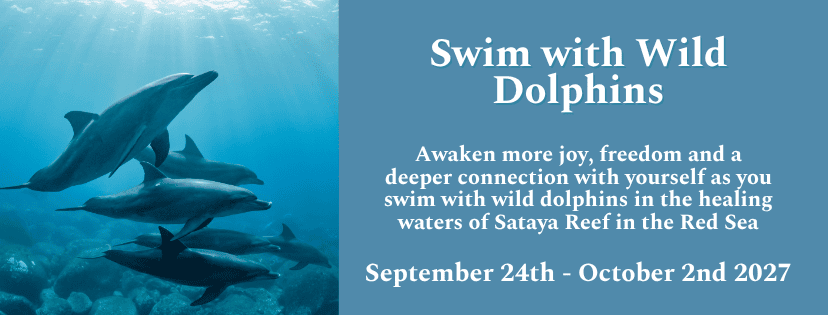 Dolphin banner indicating details about Mt. Shasta Retreat