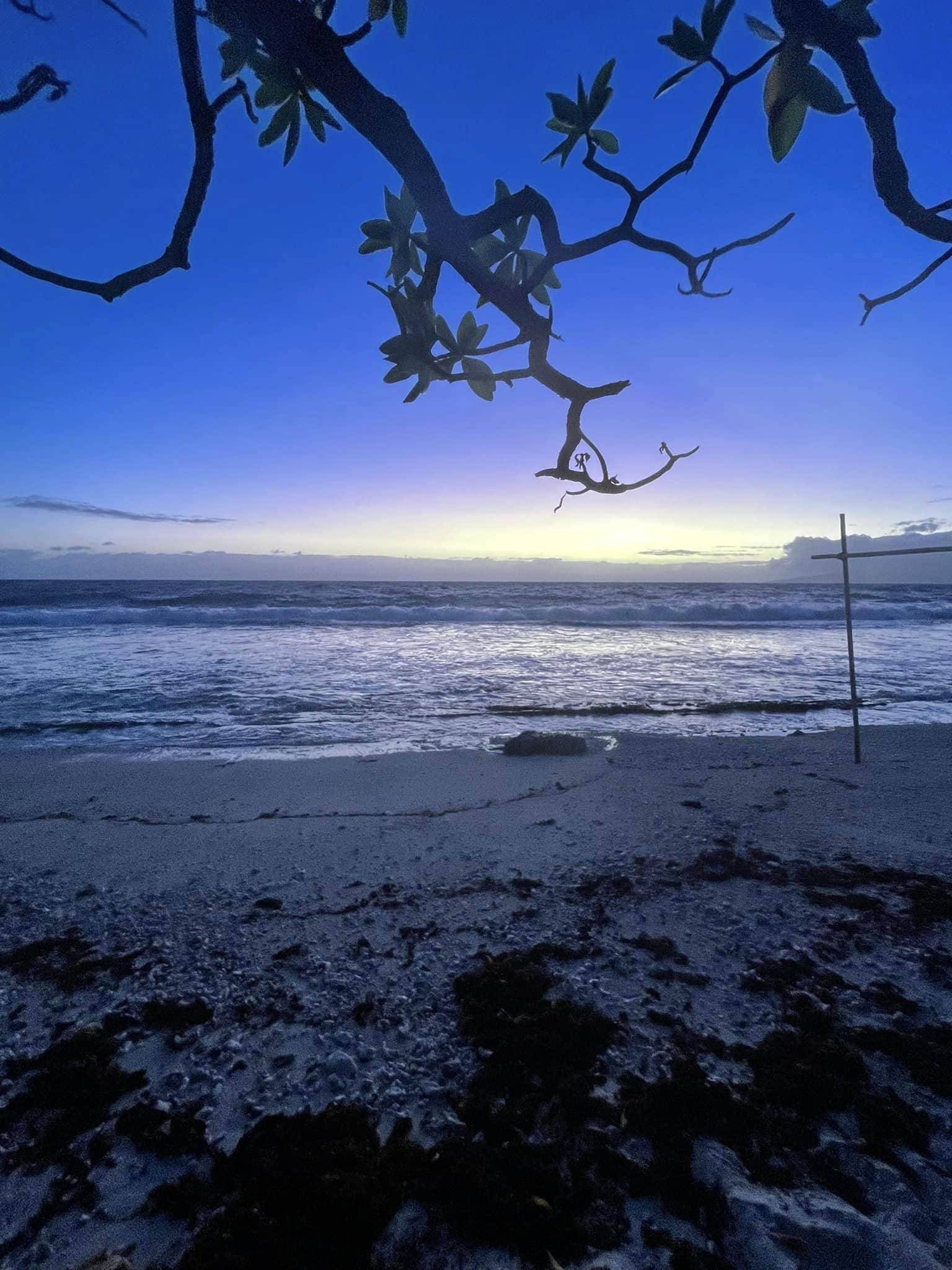 purple sunrise sighting
