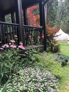 outdoorlandscape