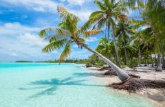 beach moorea
