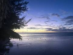 IMG_7751